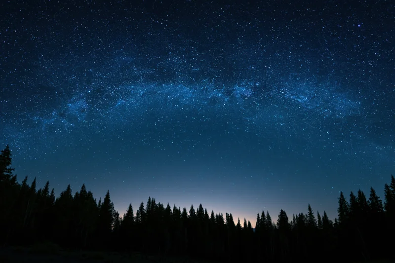 Milky way galaxy arching across star-filled night sky above forest silhouette