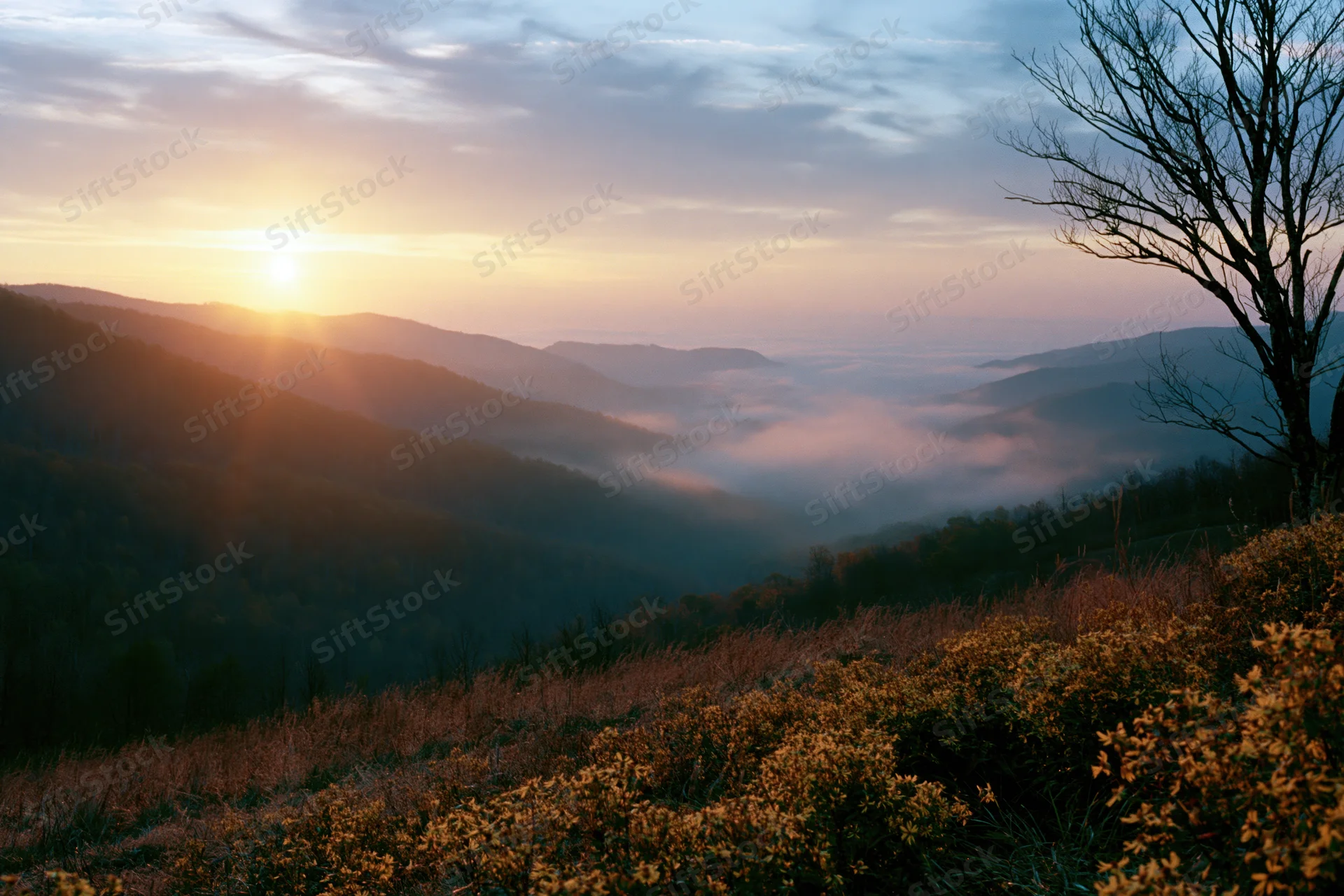 Sunrise over misty mountain valley viewed from a hilltop meadow