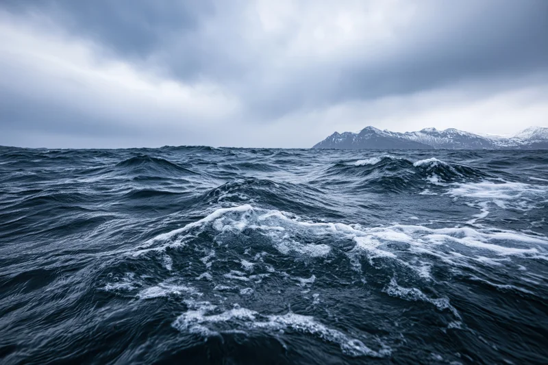 Rough dark ocean waves under stormy sky with snow-capped mountains in distance