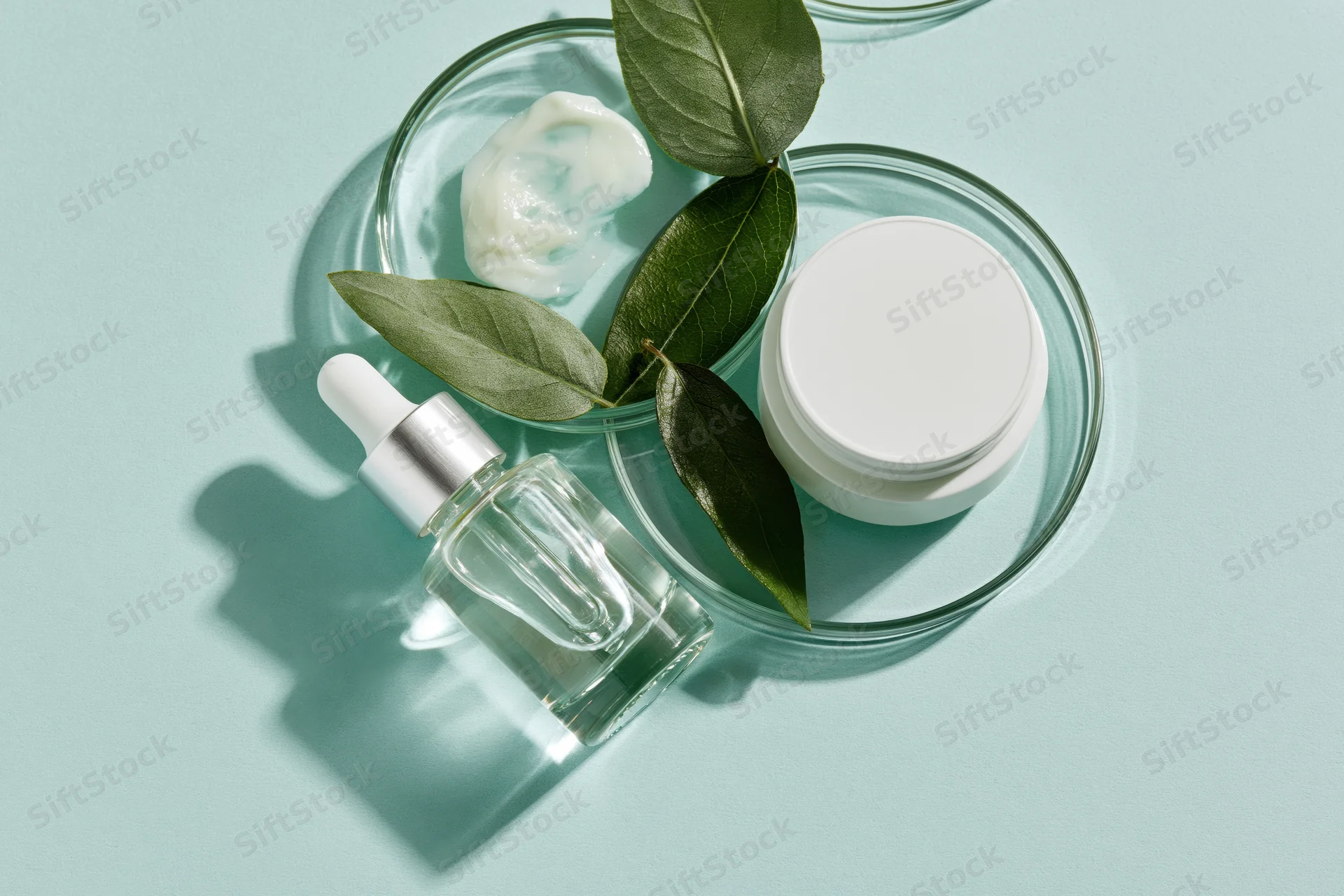 Skincare products arranged with green leaves on a teal surface