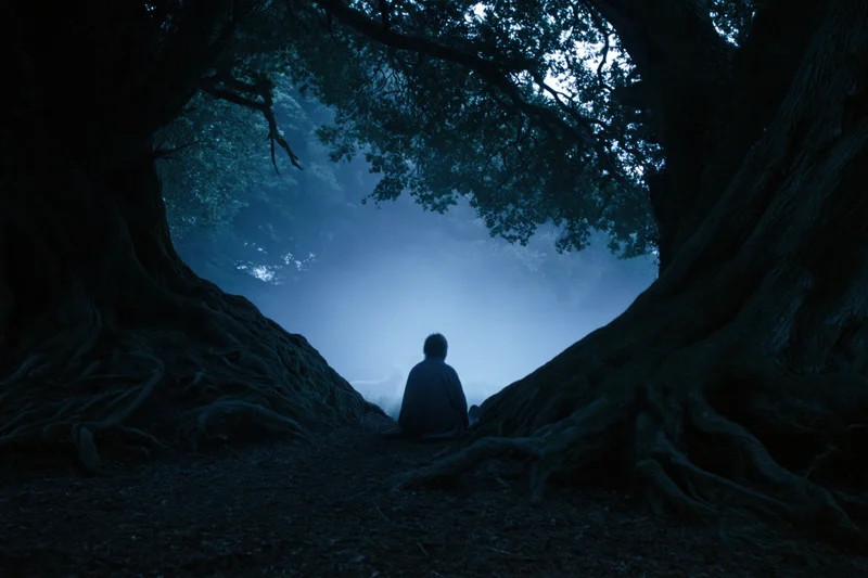 Lone figure sitting on a dark forest path facing misty blue light