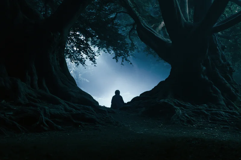 Lone person sitting on a dark forest path facing misty light through trees