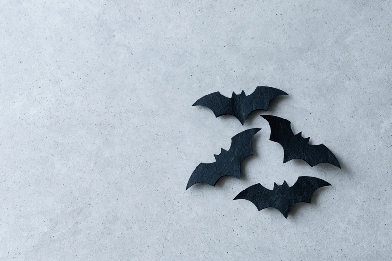 Four black paper bat cutouts arranged in a loose cluster on a textured gray surface
