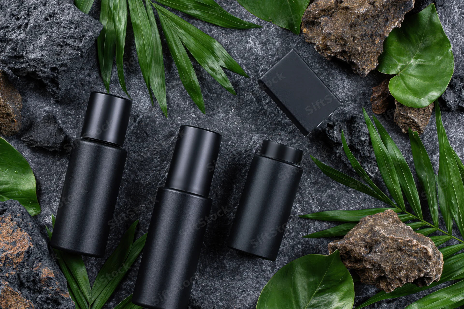 Three matte black skincare bottles arranged with green leaves and volcanic rocks on a dark textured surface