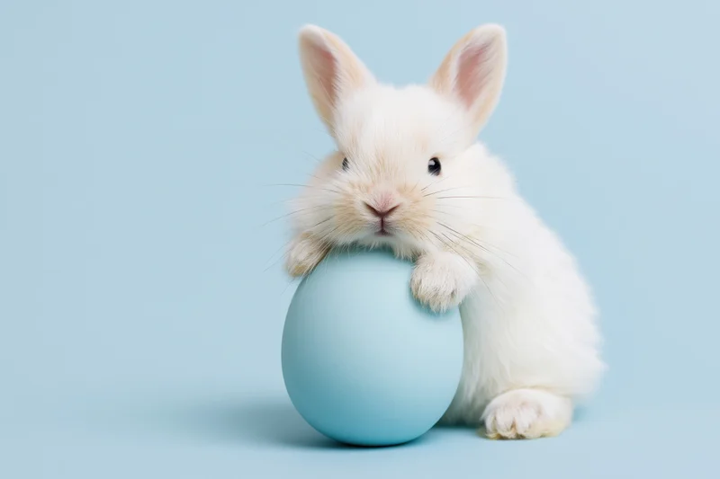 White fluffy baby rabbit resting paws on blue egg against light blue background