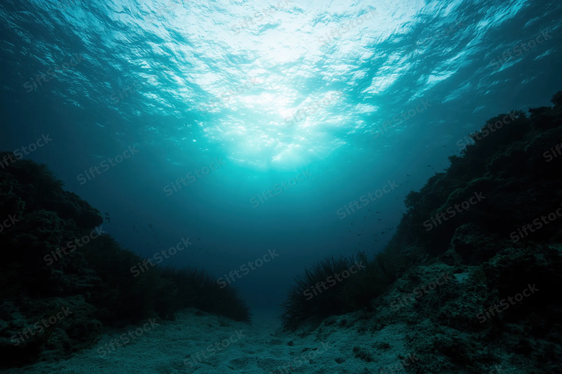 Underwater view looking up toward sunlight filtering through ocean surface above coral reef and seabed