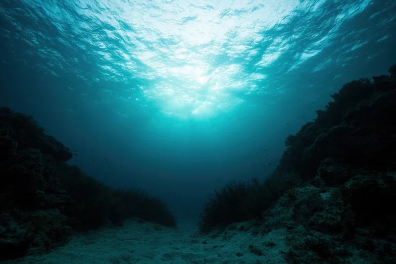 Underwater view looking up toward sunlight filtering through ocean surface above coral reef and seabed