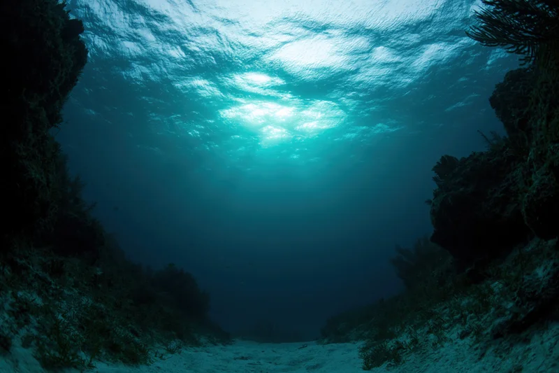 Underwater view looking up through ocean water toward sunlight filtering through surface, framed by coral reef walls on either side
