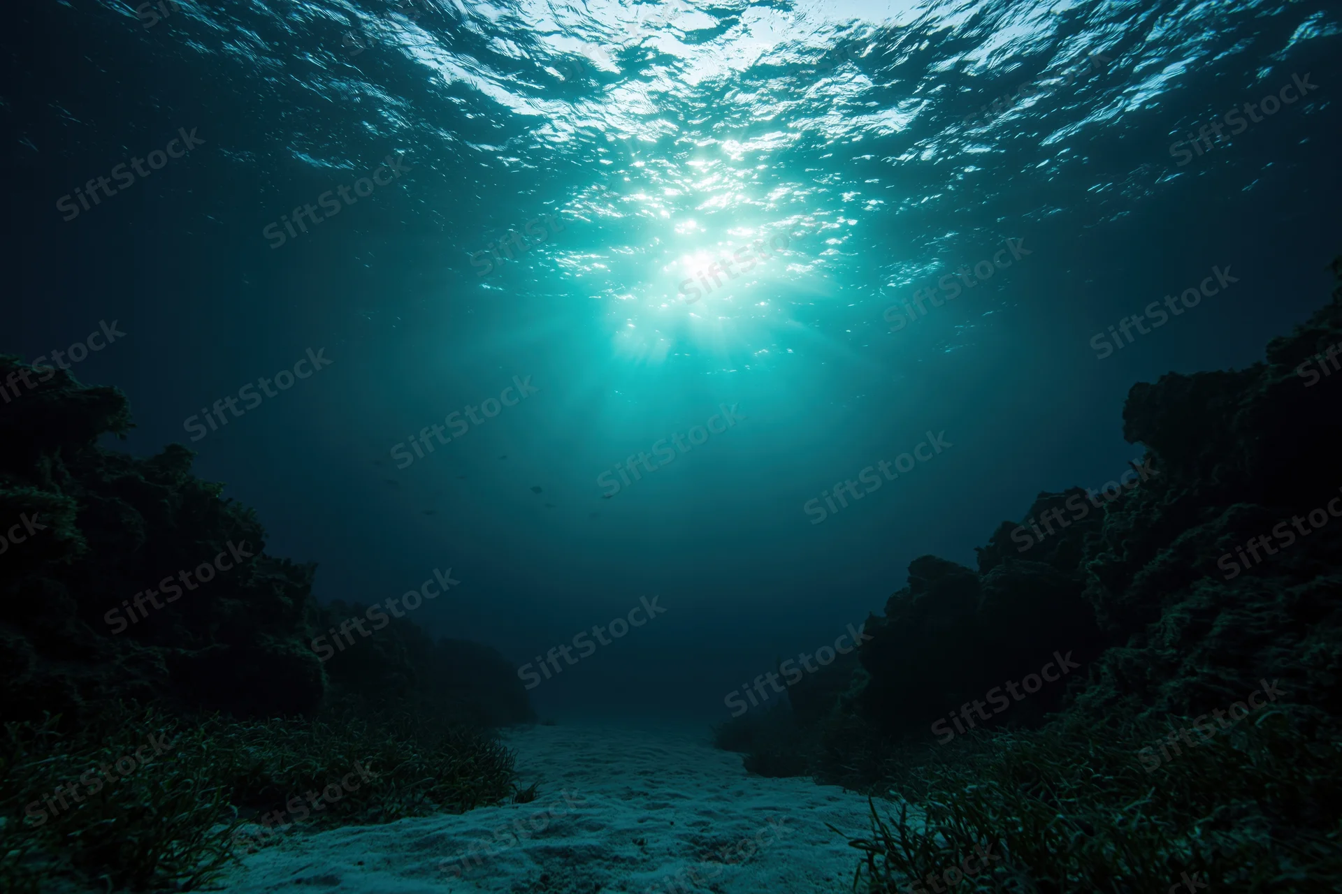 Underwater view looking up through ocean water with sunlight beams illuminating coral reef and seabed