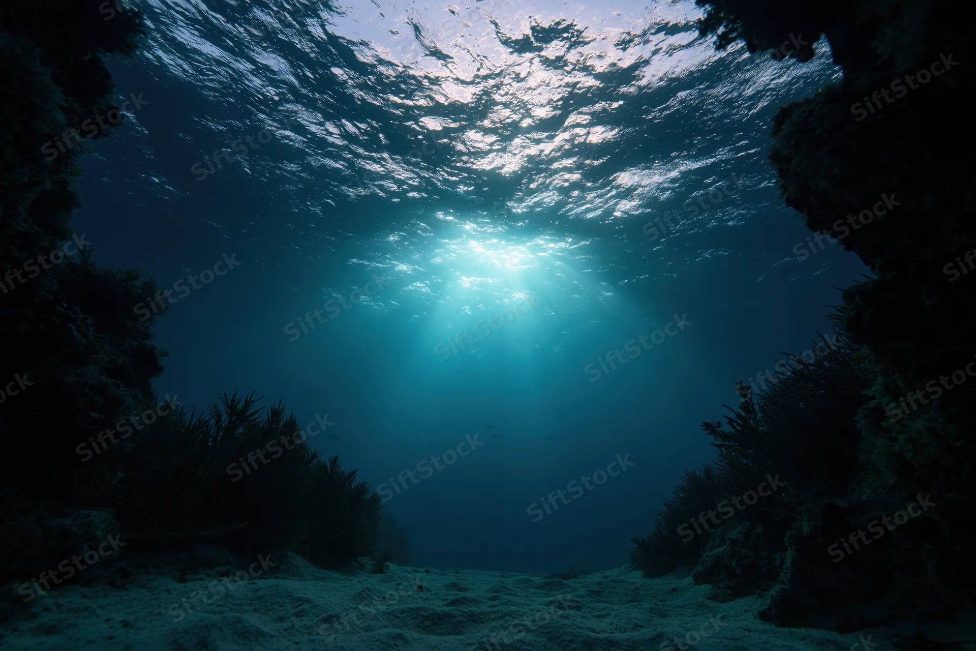 Underwater view looking up through ocean water with sunlight beams filtering down onto seabed surrounded by kelp and rocks