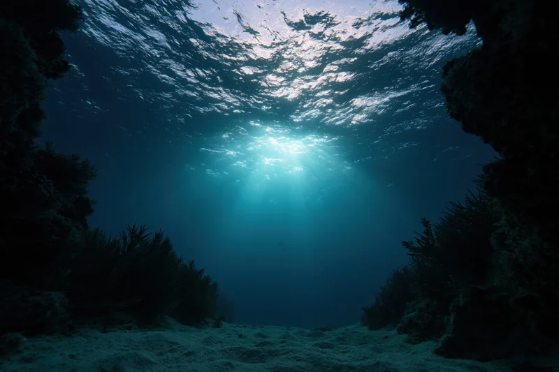 Underwater view looking up through ocean water with sunlight beams filtering down onto seabed surrounded by kelp and rocks