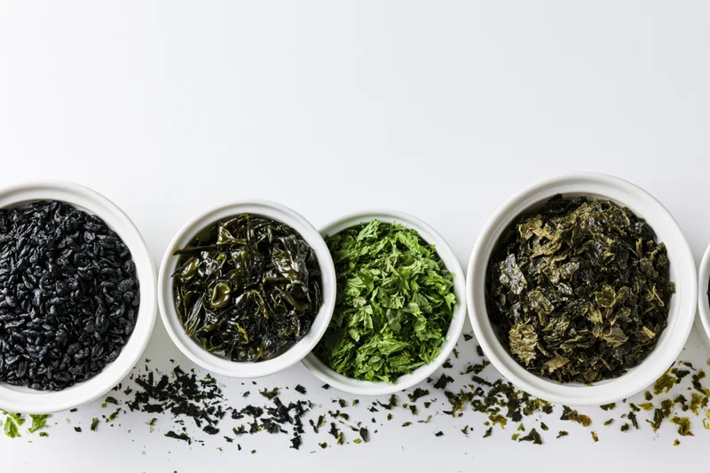 Various dried seaweed varieties in white ceramic bowls arranged in a row on a white surface