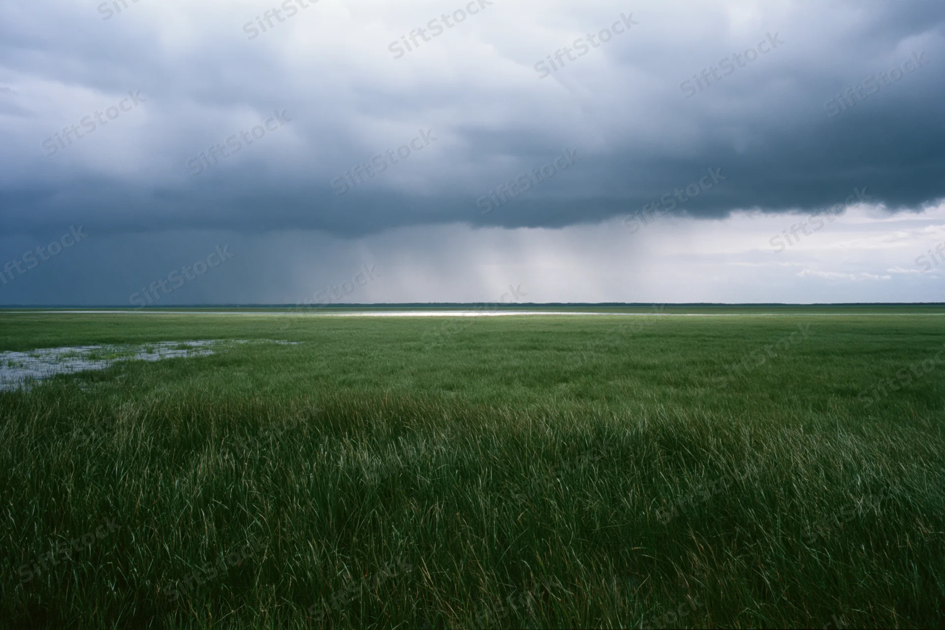 Vast marshland under heavy storm clouds with rain falling in distance