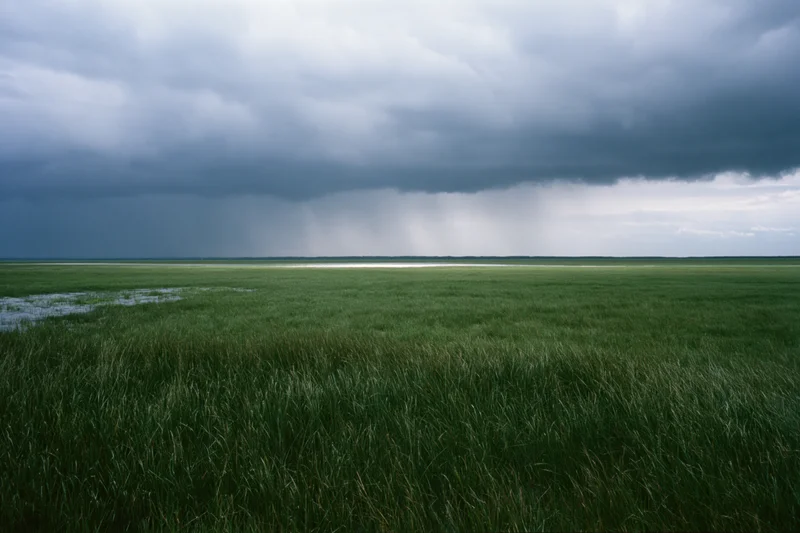 Vast marshland under heavy storm clouds with rain falling in distance