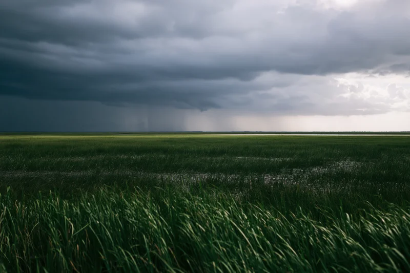 Vast marshland under heavy approaching thunderstorm with rain falling in distance