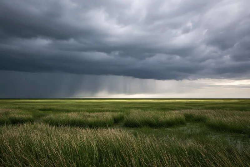 Vast flat marshland under heavy approaching thunderstorm with rain falling in distance