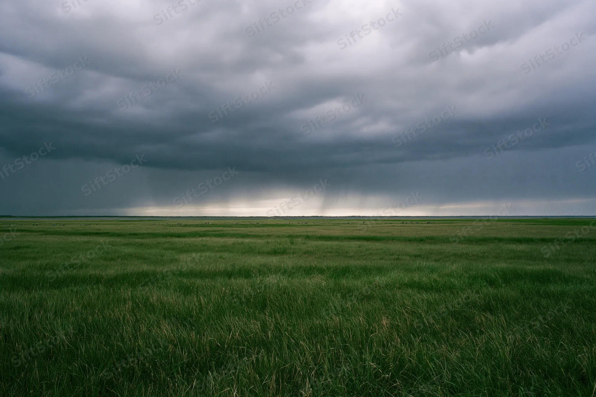 Vast flat marshland under heavy approaching thunderstorm with rain falling in distance