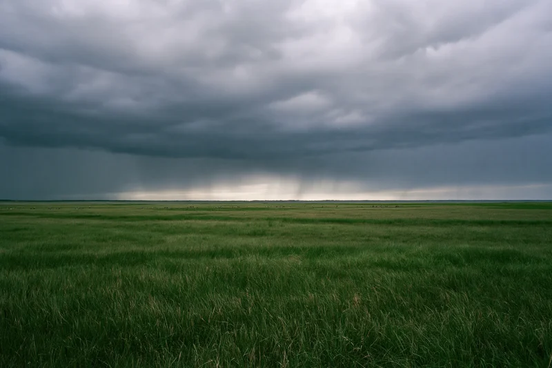 Vast flat marshland under heavy approaching thunderstorm with rain falling in distance