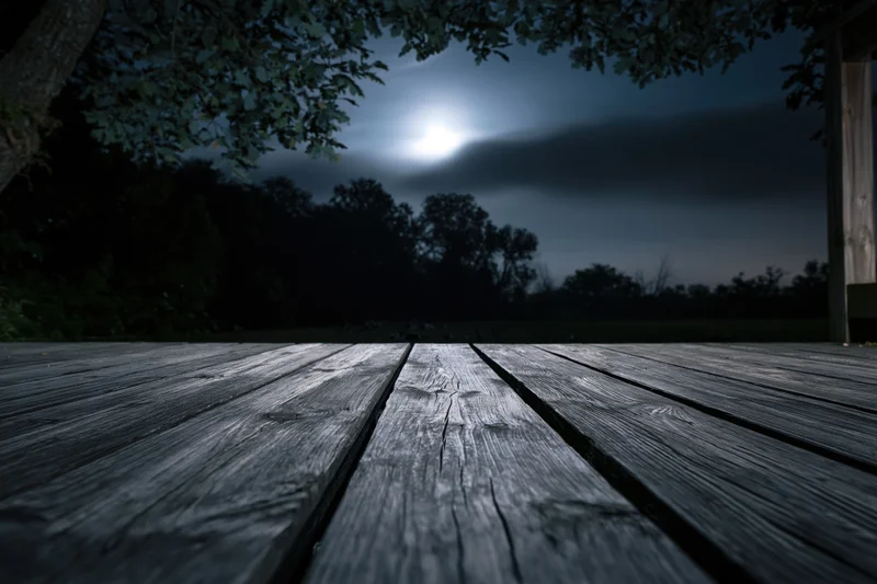 Weathered wooden deck planks leading to a moonlit night sky framed by tree branches