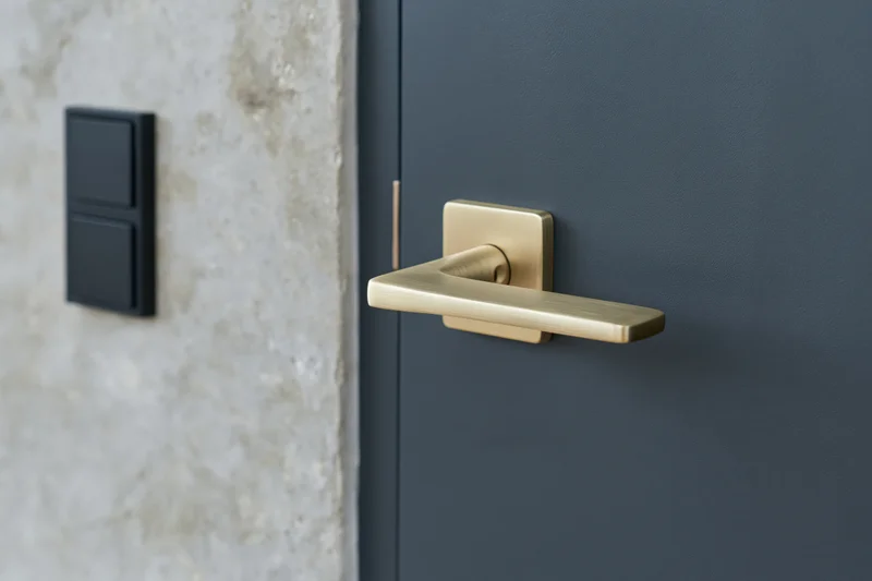 Dark charcoal interior door with brushed gold lever handle beside a black wall switch
