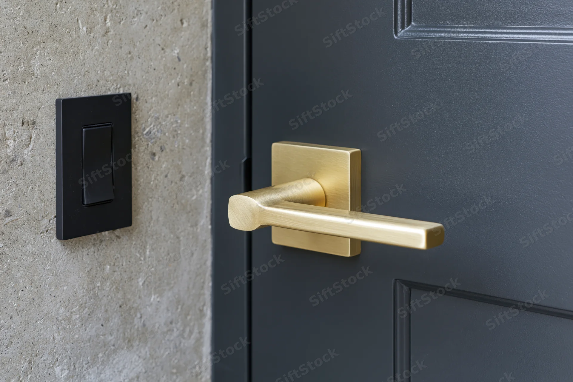 Dark charcoal interior door with brushed gold lever handle next to black light switch on concrete wall