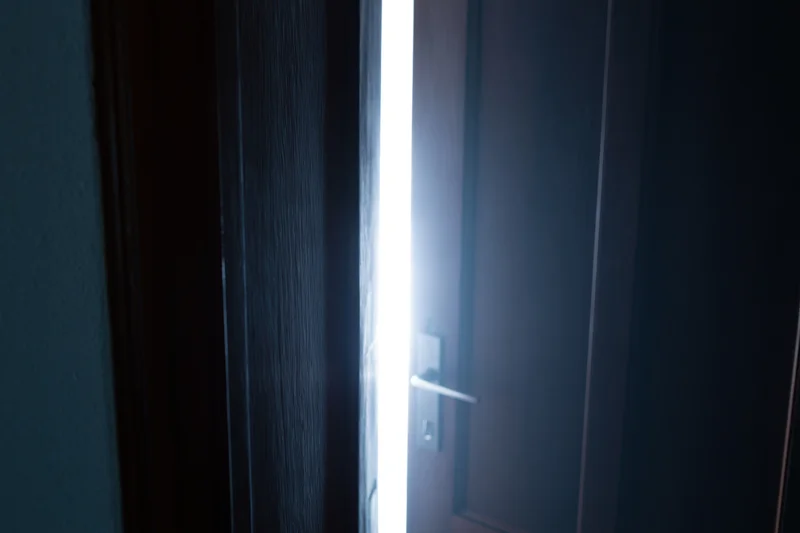 Dark wooden double door slightly ajar revealing a narrow vertical gap of bright light inside a dim hallway