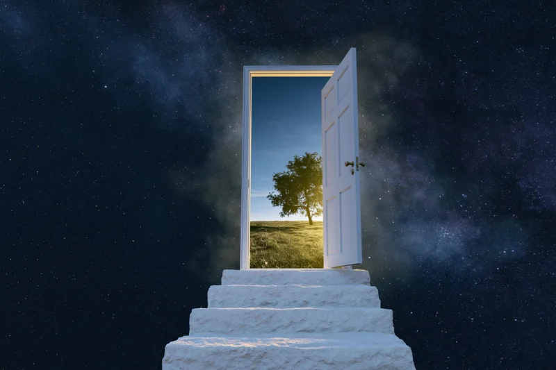 Open white door at top of stone stairs leading to sunlit field with tree under starry night sky