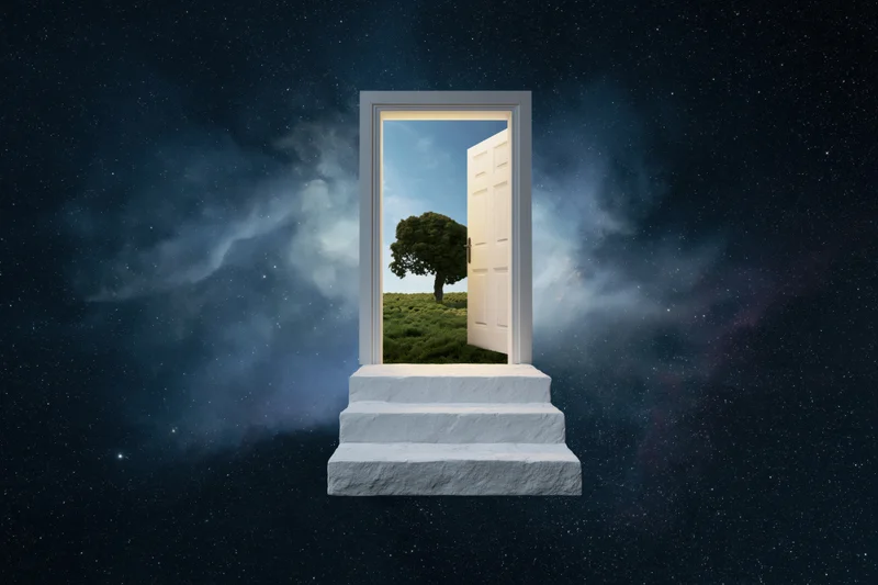 White doorway open to a grassy field with a tree, set against a starry night sky, accessed by stone steps