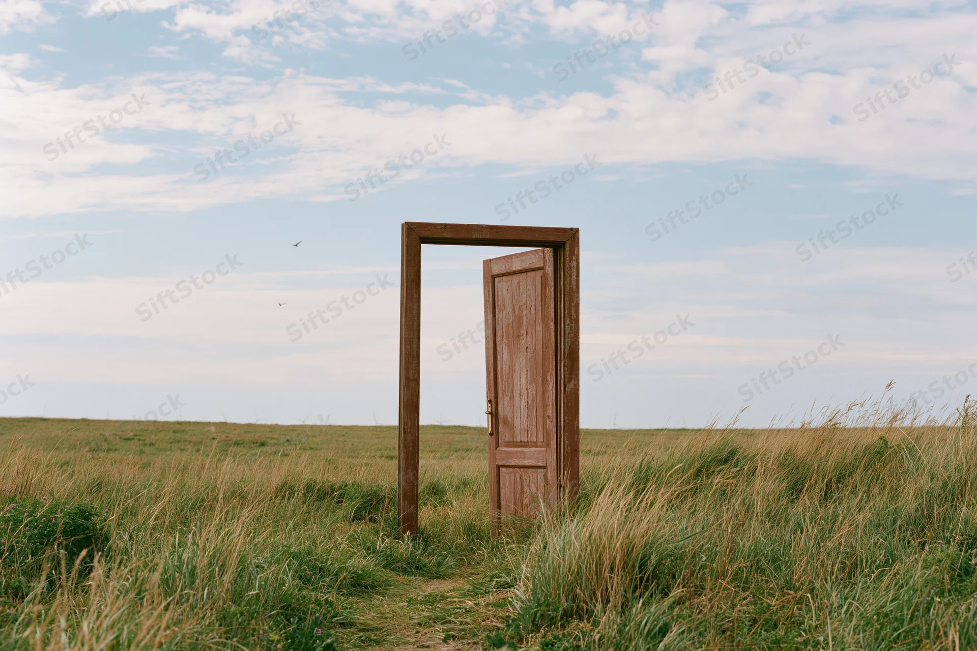 Open wooden door frame standing alone in a grassy field under a cloudy sky