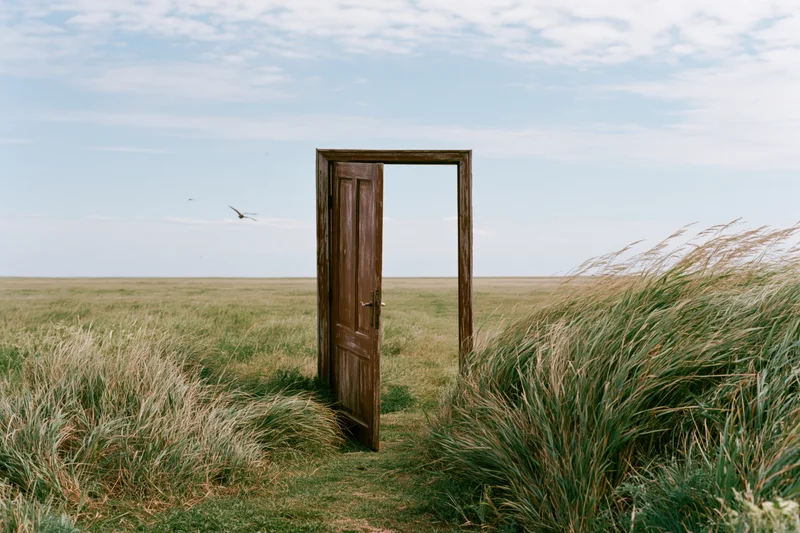 Open wooden door frame standing alone in a grassy field under a cloudy sky
