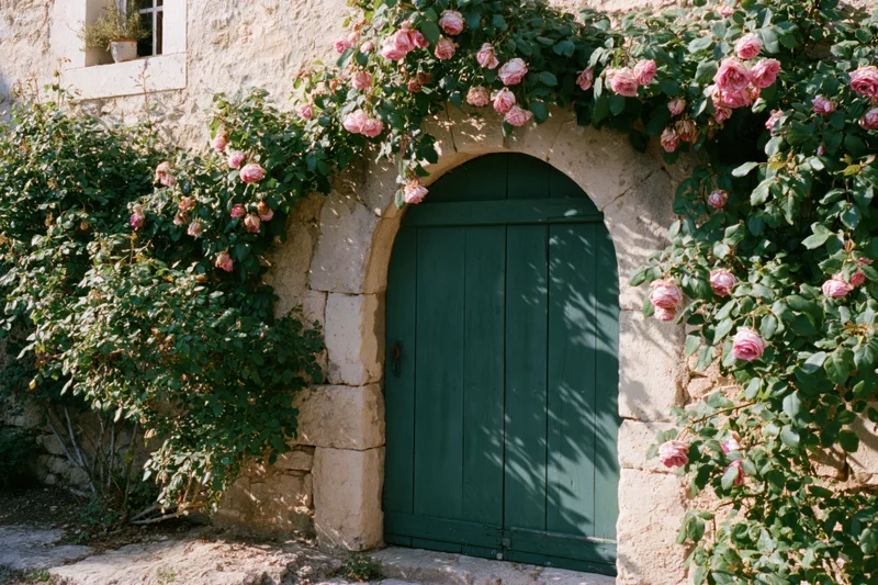 Arched green wooden door set into weathered stone wall with climbing pink roses