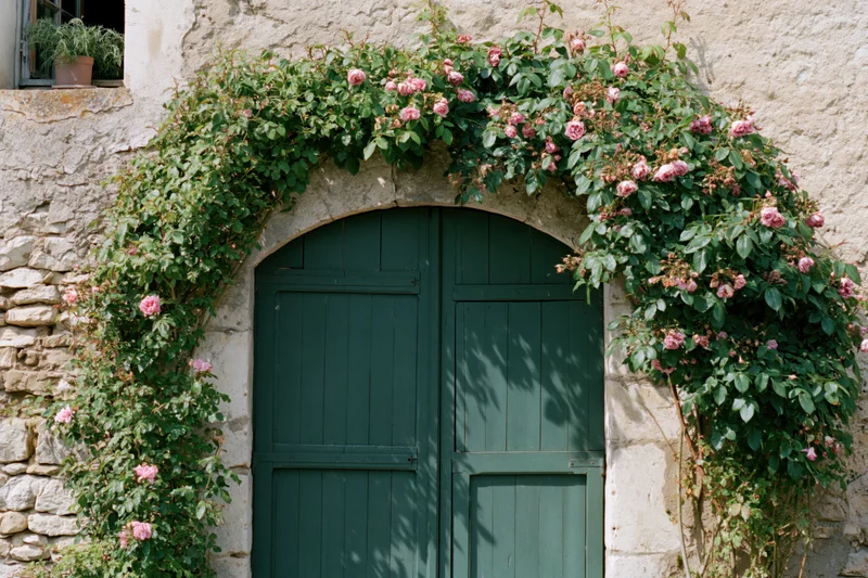Arched green wooden door framed by pink roses on a weathered stone wall