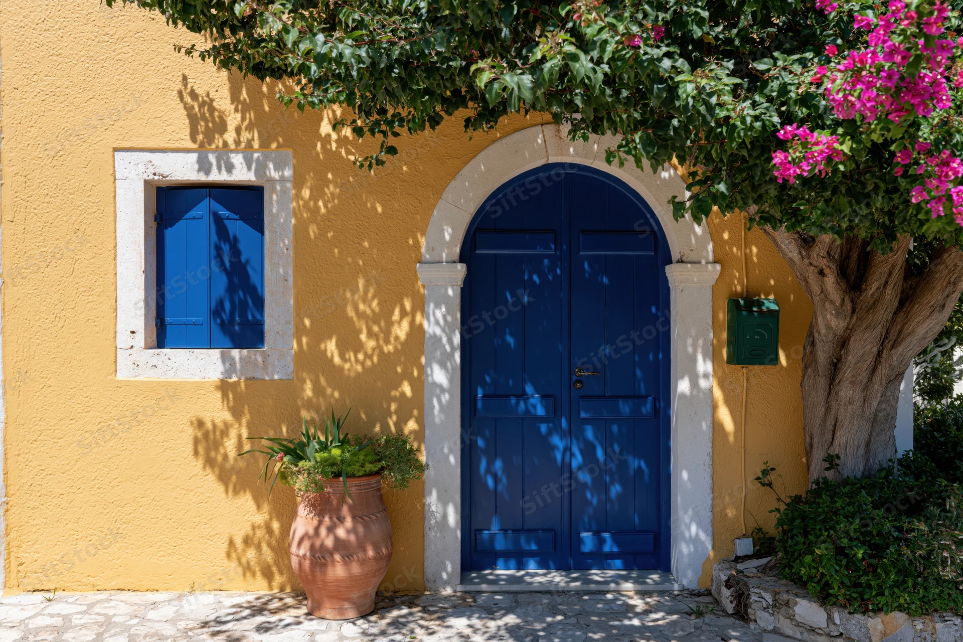 Cobalt blue arched wooden door on a yellow stucco house facade with bougainvillea tree and terracotta pot beside it