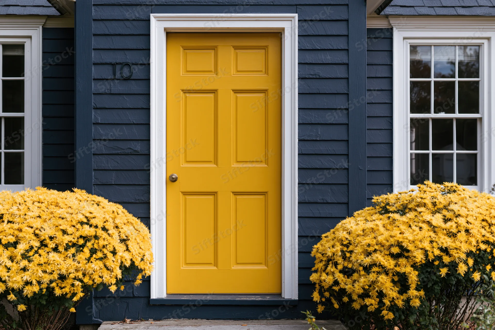 Bright yellow front door with raised panels on a navy blue house flanked by yellow chrysanthemum bushes