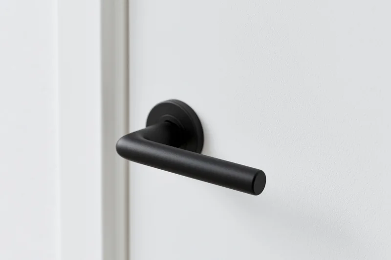 Matte black modern lever door handle on white door