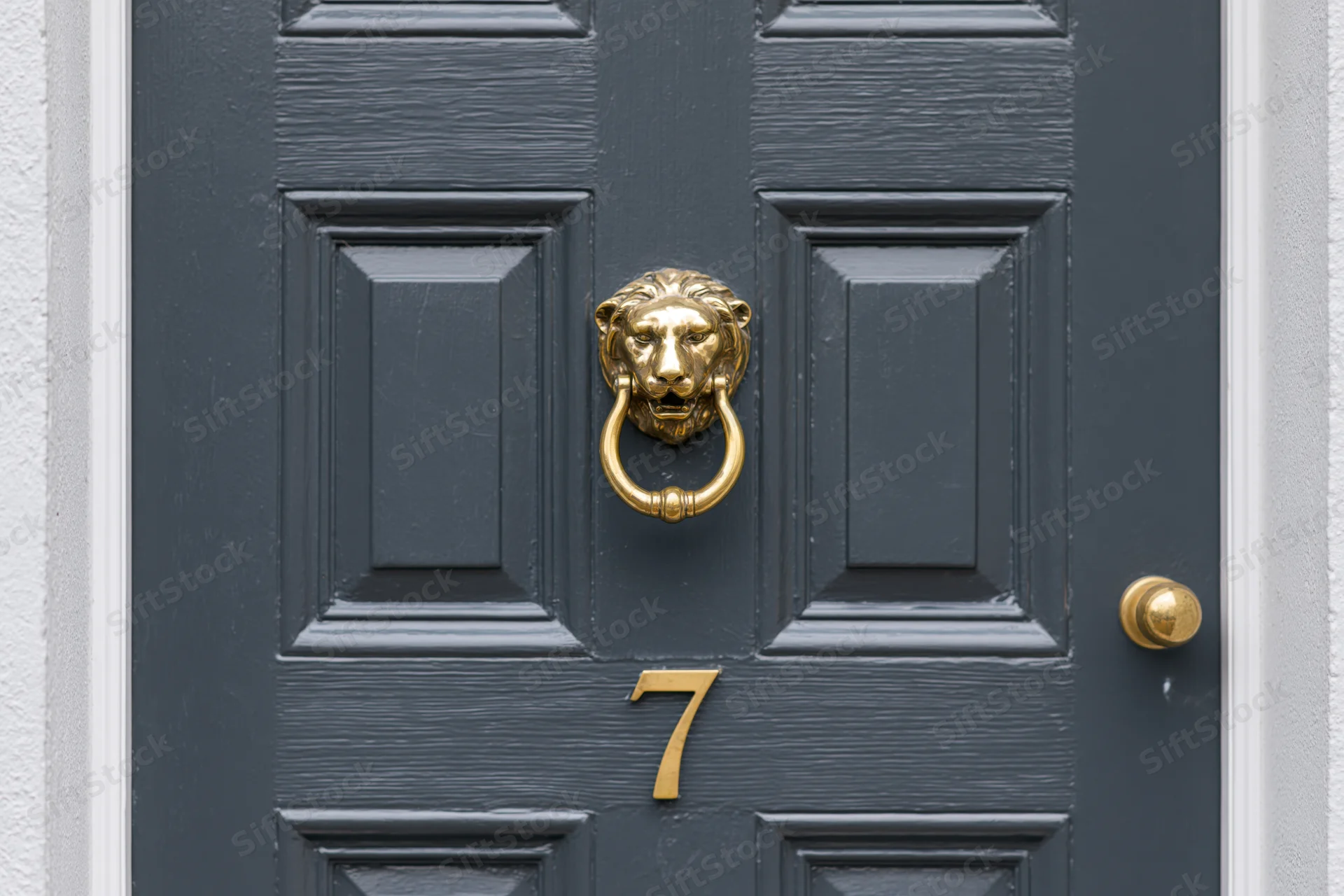 Dark charcoal grey wooden front door with brass lion knocker and number seven, framed by white trim
