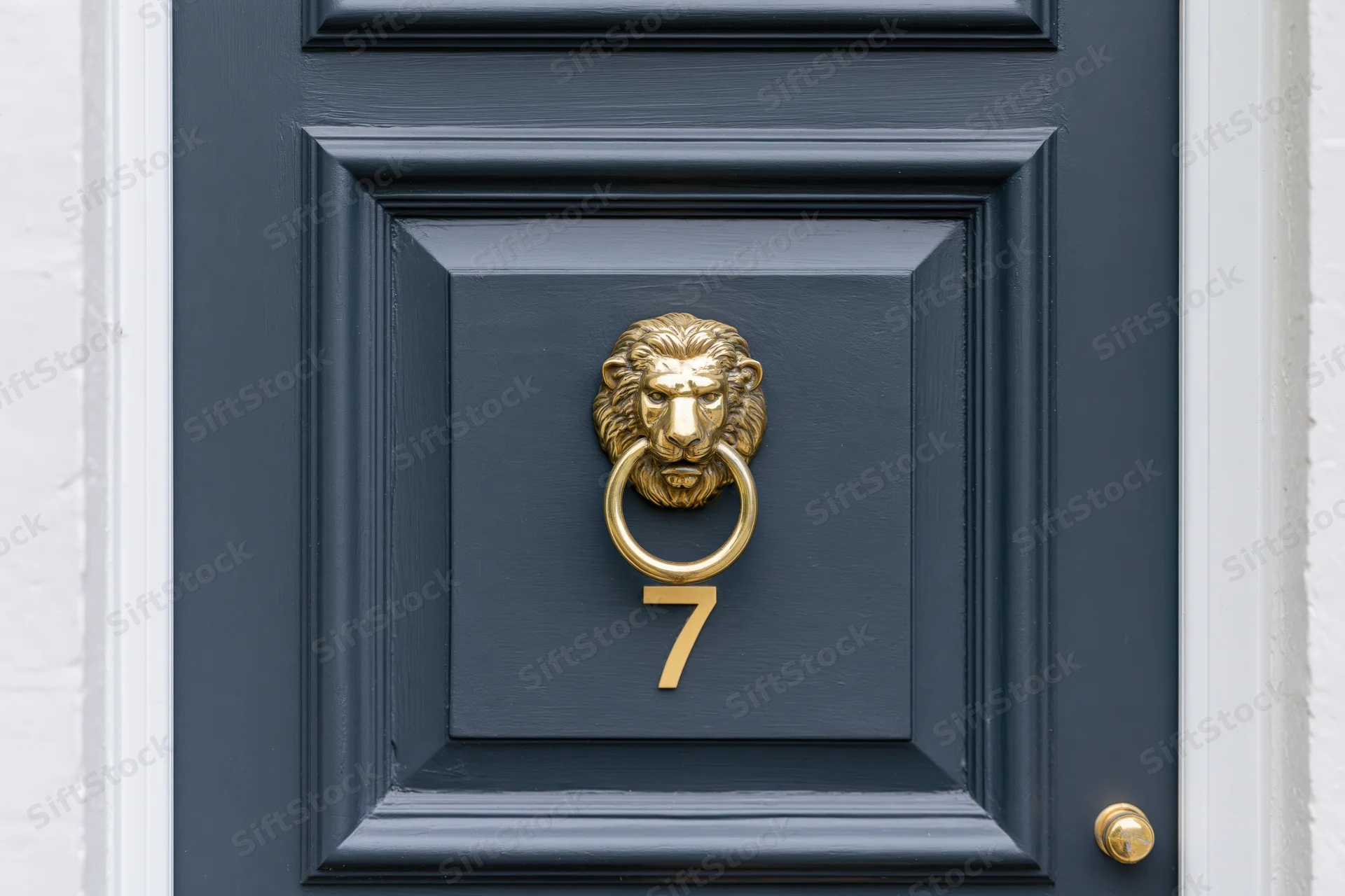 Close-up of a dark grey wooden front door with a brass lion knocker and gold number 7