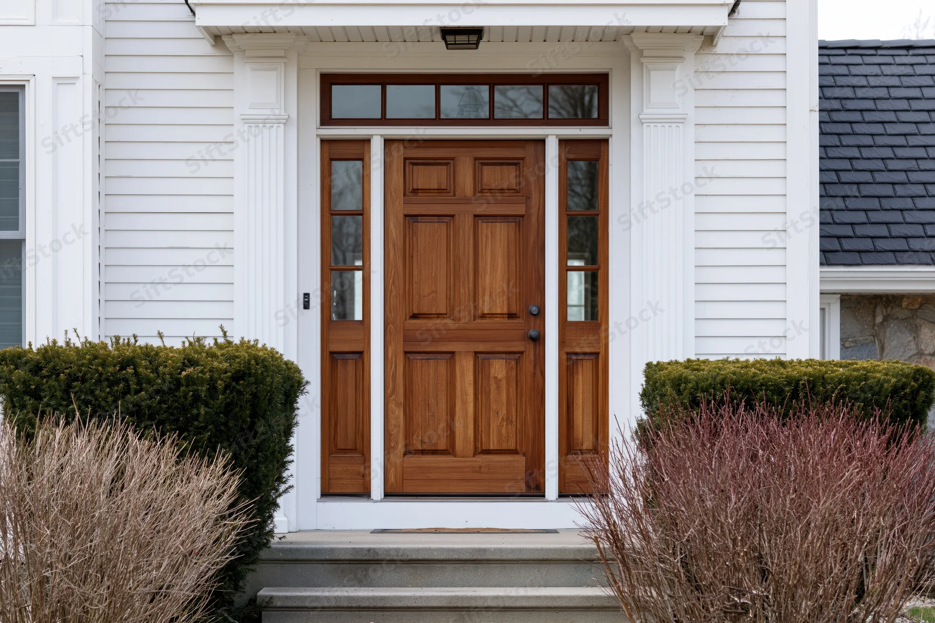 Wooden front door with sidelights and transom on a white suburban house with steps and shrubs