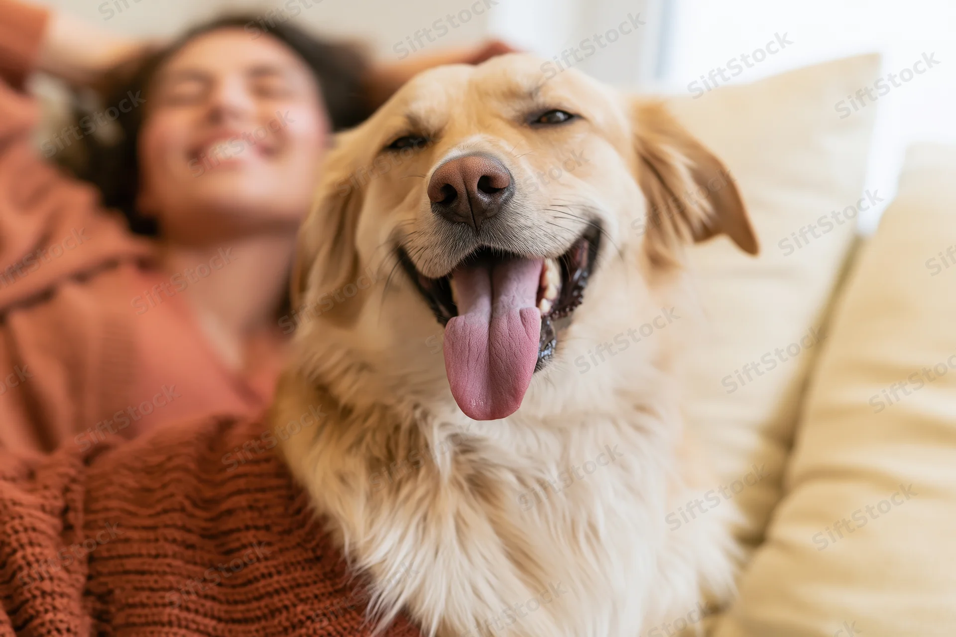 Golden mixed-breed dog with tongue out sitting on couch beside laughing woman