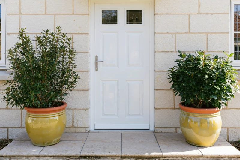 White paneled front door with decorative glass inserts flanked by potted shrubs on stone steps