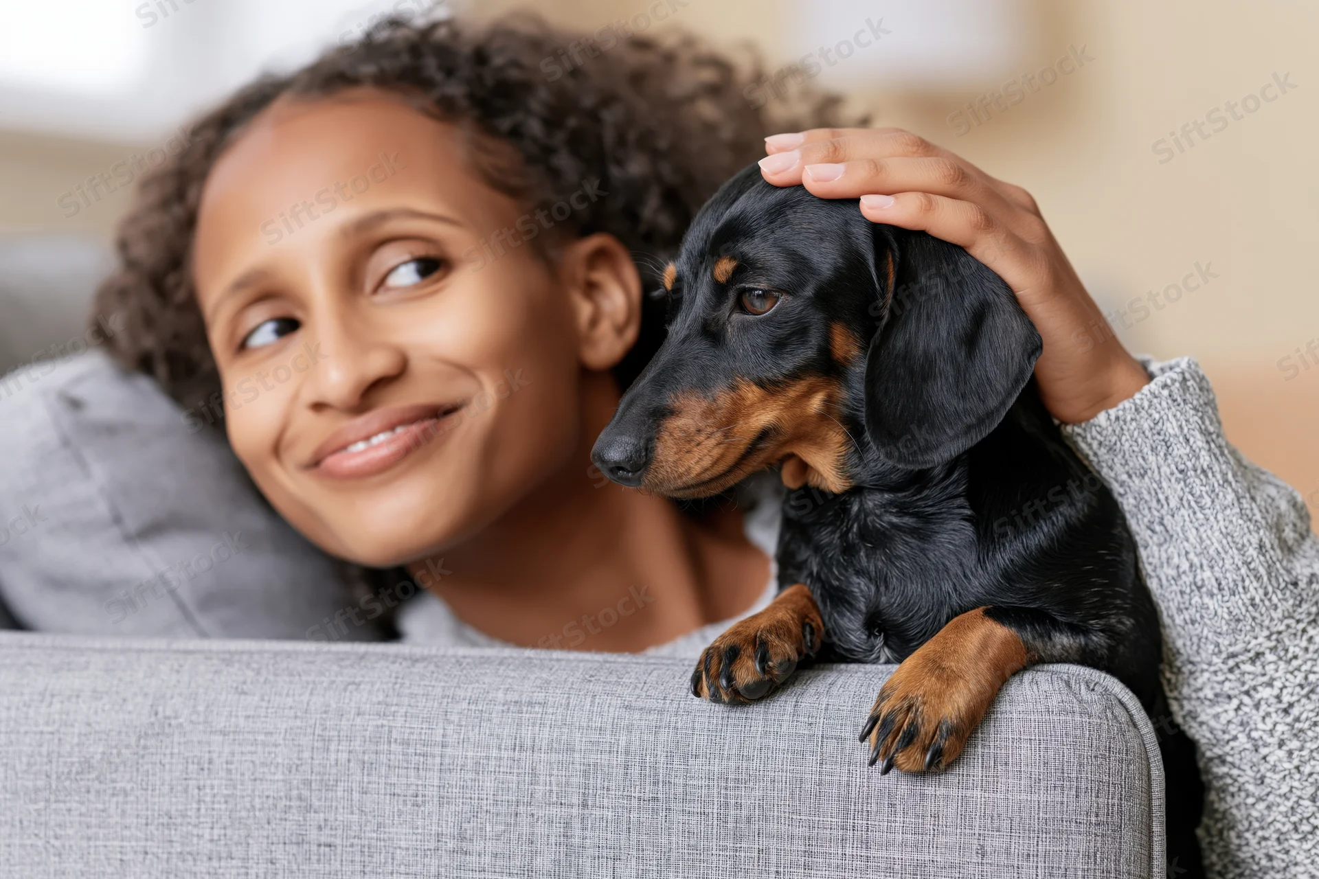 Young woman smiling while petting a small dachshund on a gray couch