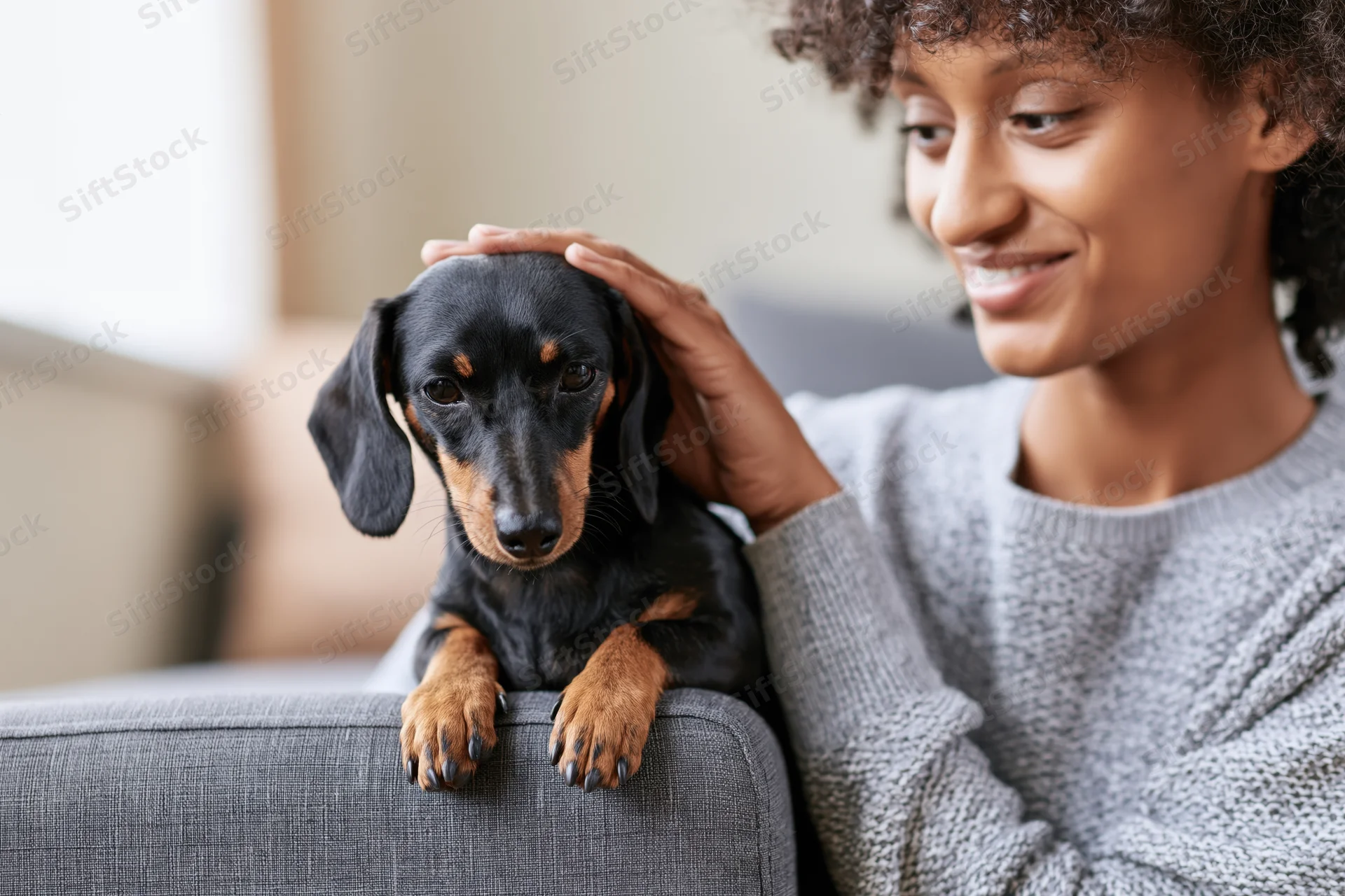 Woman smiling and petting a small black and brown dachshund on a gray couch