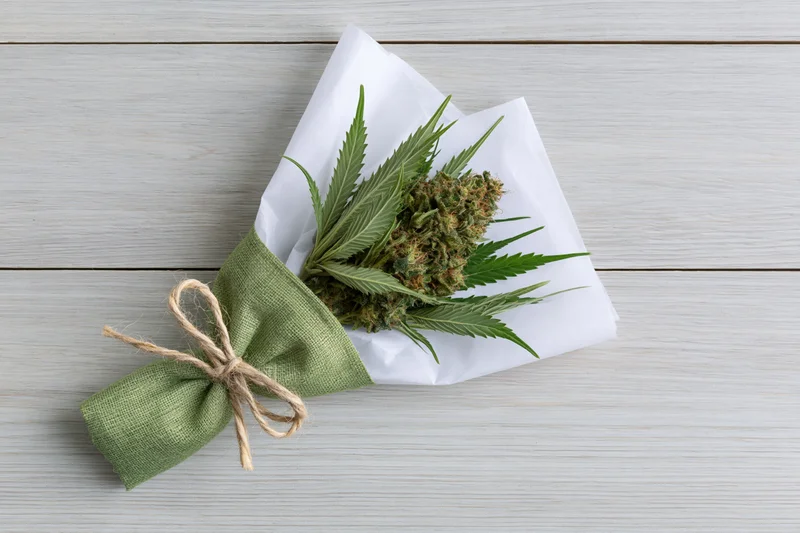 Cannabis bud wrapped as a gift bouquet on a wooden surface with green fabric and twine bow