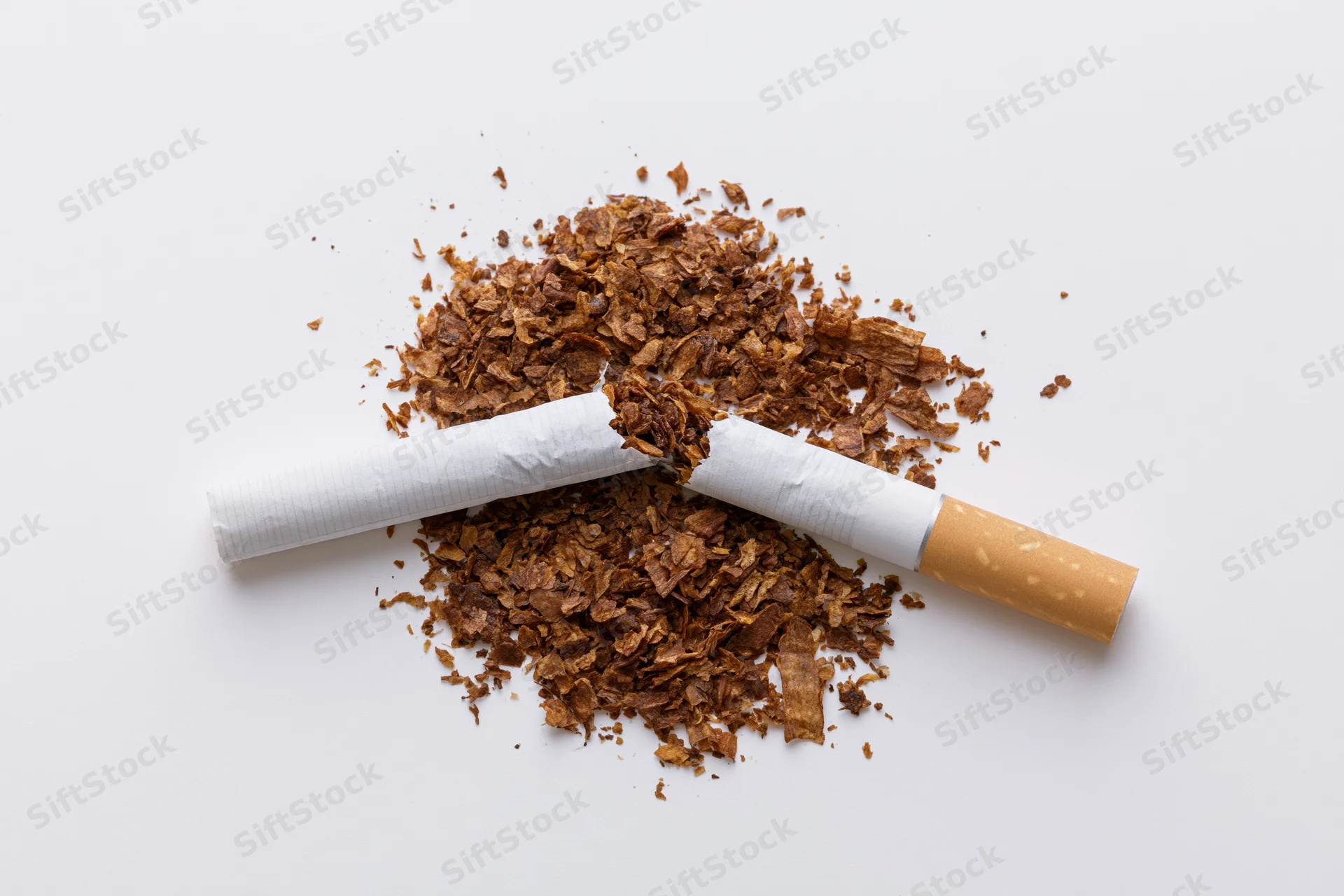 Broken cigarette snapped in half with shredded tobacco on white background