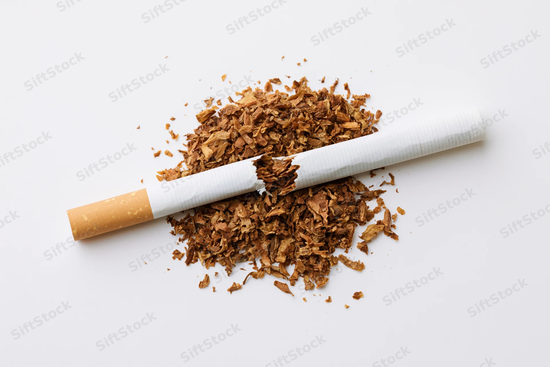 Broken cigarette with loose brown tobacco on white background