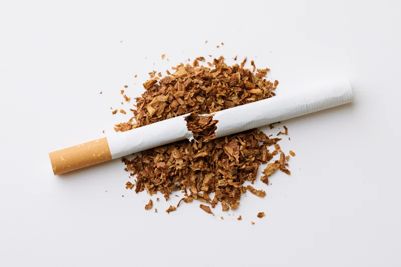 Broken cigarette with loose brown tobacco on white background