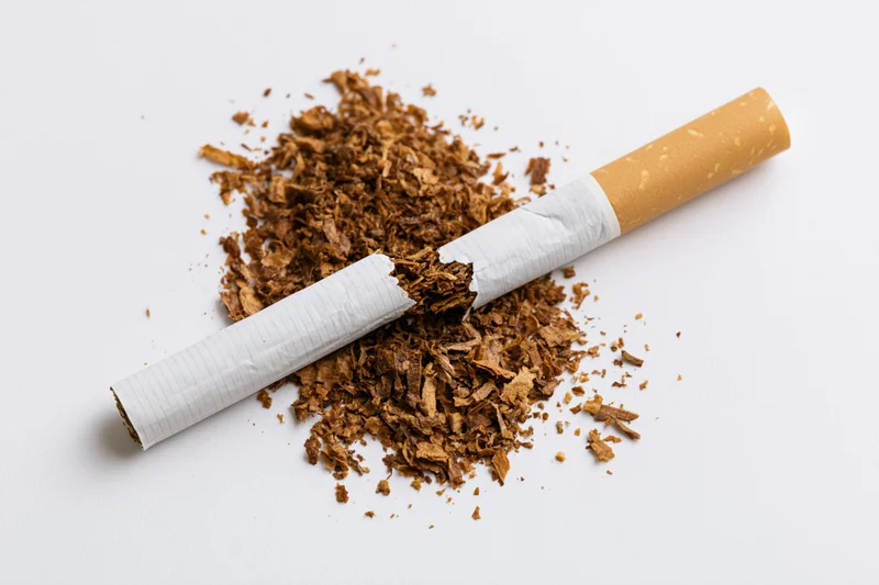 Broken cigarette lying on loose brown tobacco against white background