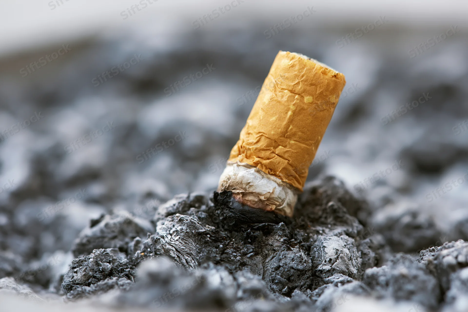 Cigarette butt pressed into a thick bed of gray ash
