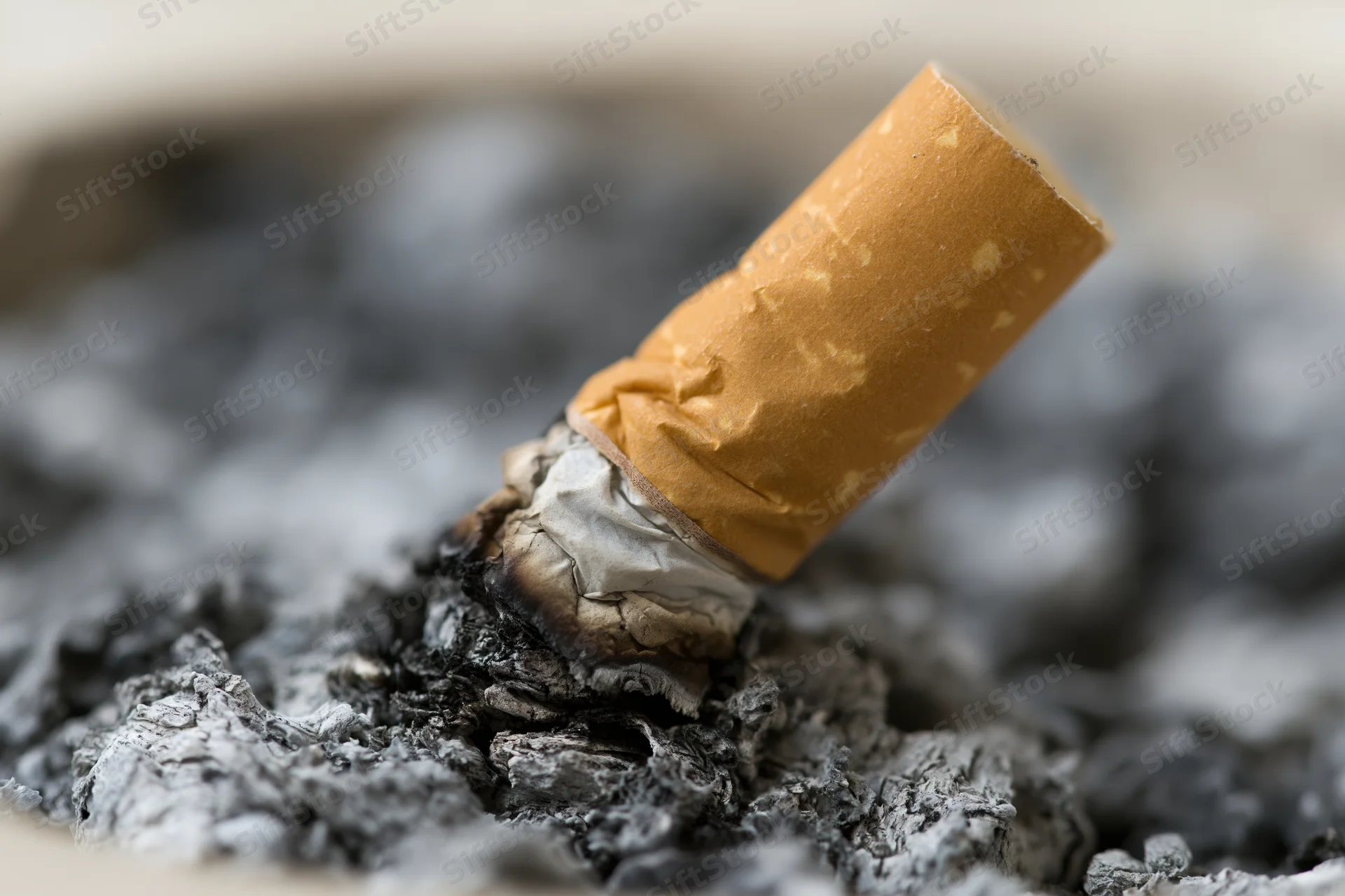 Stubbed-out cigarette butt pressed into a thick bed of grey ash