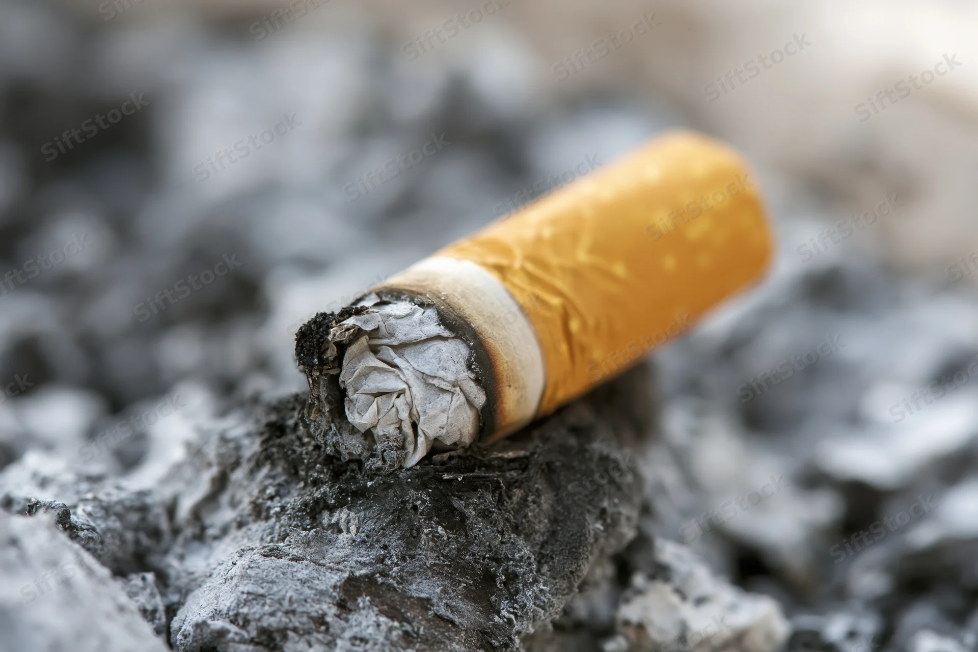 A stubbed-out cigarette butt resting in a thick bed of gray ash